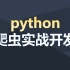 Python爬虫实战开发视频教程