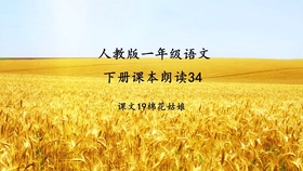02861548b6b794707454bd8535e933b6d62b1242.jpg@280w_158h_1c_100q.jpg