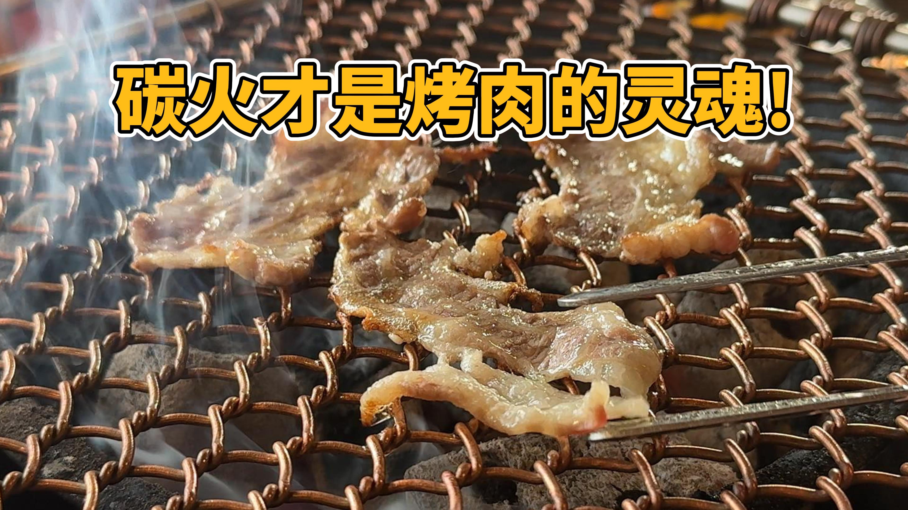 炭烤才是烤肉啊！！！谁赞成？谁反对？