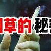 人类为什么要吸烟？吸烟会对身体带来多大危害？10分钟讲清一切