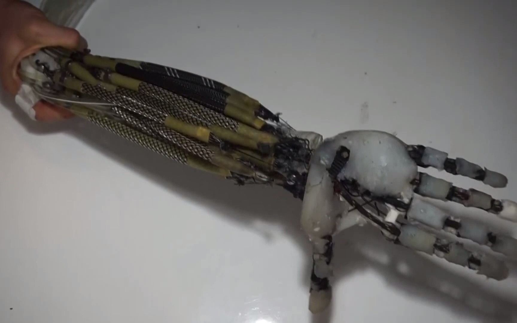 人形机器人 人造肌肉 机器人