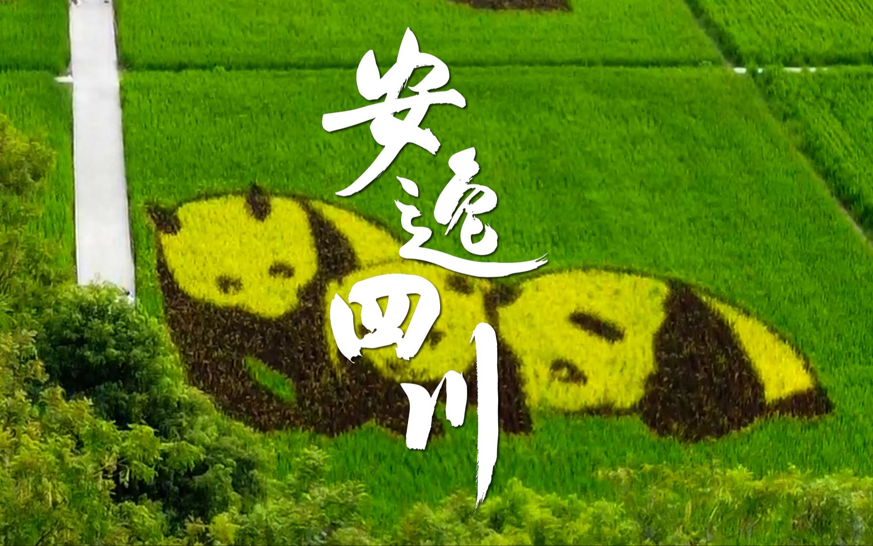 安逸四川｜千古一壤，天府四川