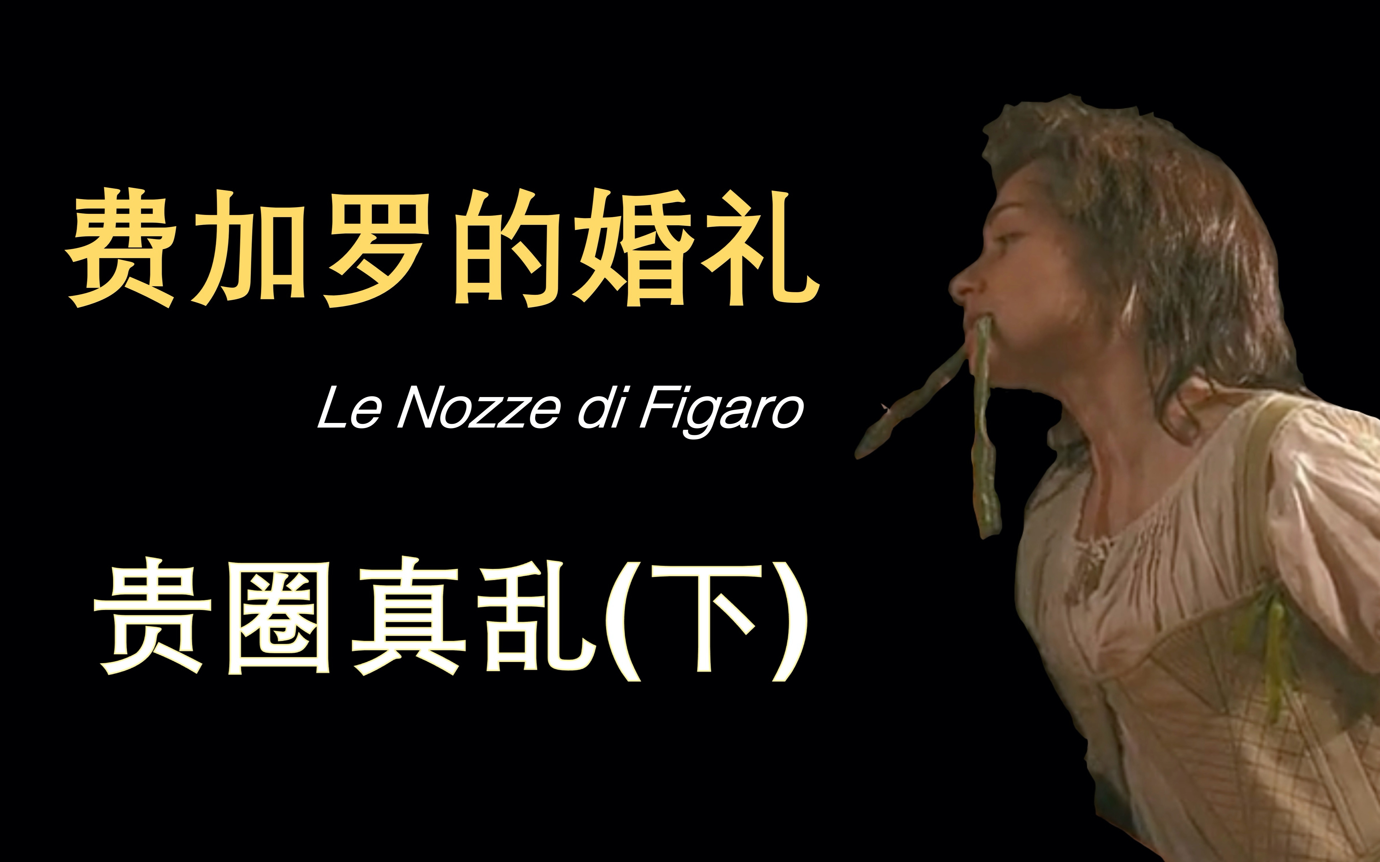 【财看歌剧】费加罗的婚礼：贵圈真乱(下)