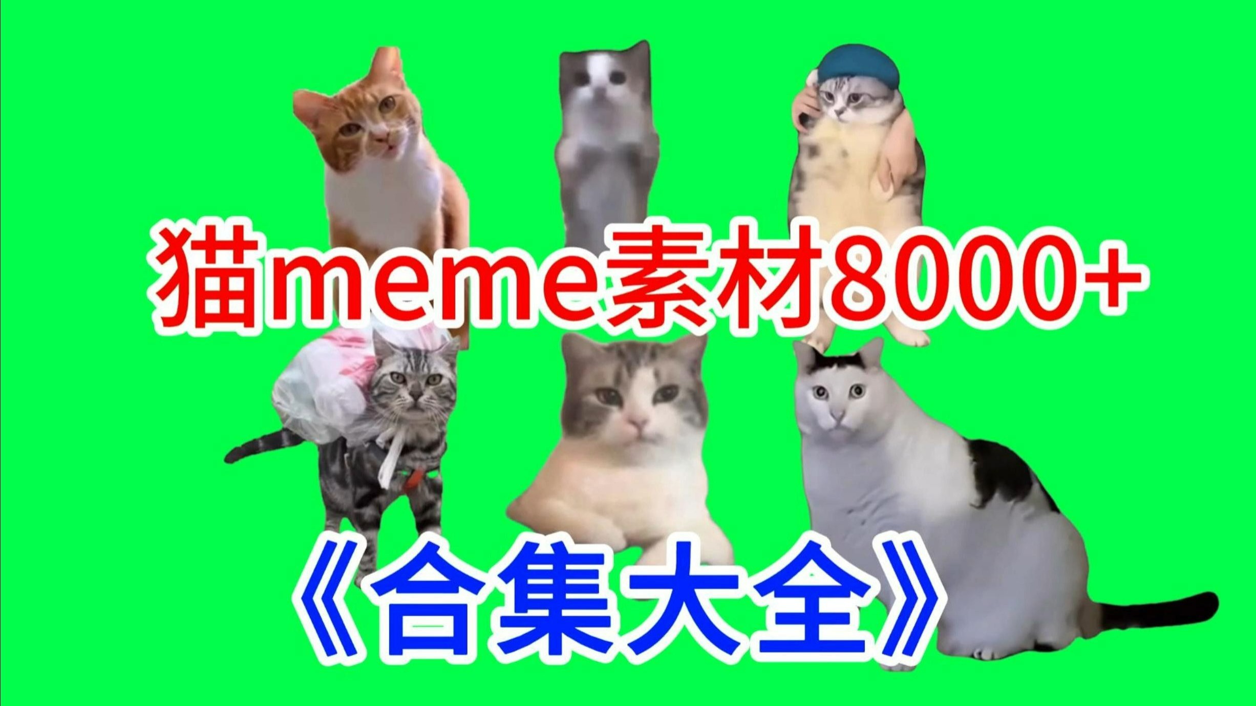 【7月第一弹】猫meme绿幕素材完整分享～，猫meme素材整合分享，高清合集分享！