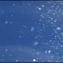 下雪粒子松树舞台led背景视频素材