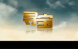 【CCTV】寻宝——春节特别节目【传家宝】 七集全