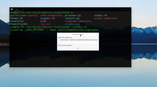 如何在Linux环境中搭建安卓平台进行开发？  第1张