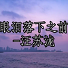 眼泪落下之前-汪苏泷“命运它向来不死 不休，伤心人只能半推 半就