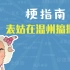 表姑在温州搞批发是什么梗【梗指南】