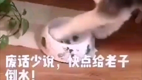 什么是正常人什么是不正常 034c7ec2e26ba6a5034ffe059bbc93326470123a.jpg@280w_158h_1c_100q.jpg