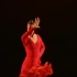 【弗拉门戈】火舞（Firedance，大河之舞片段）（Maria Pages）