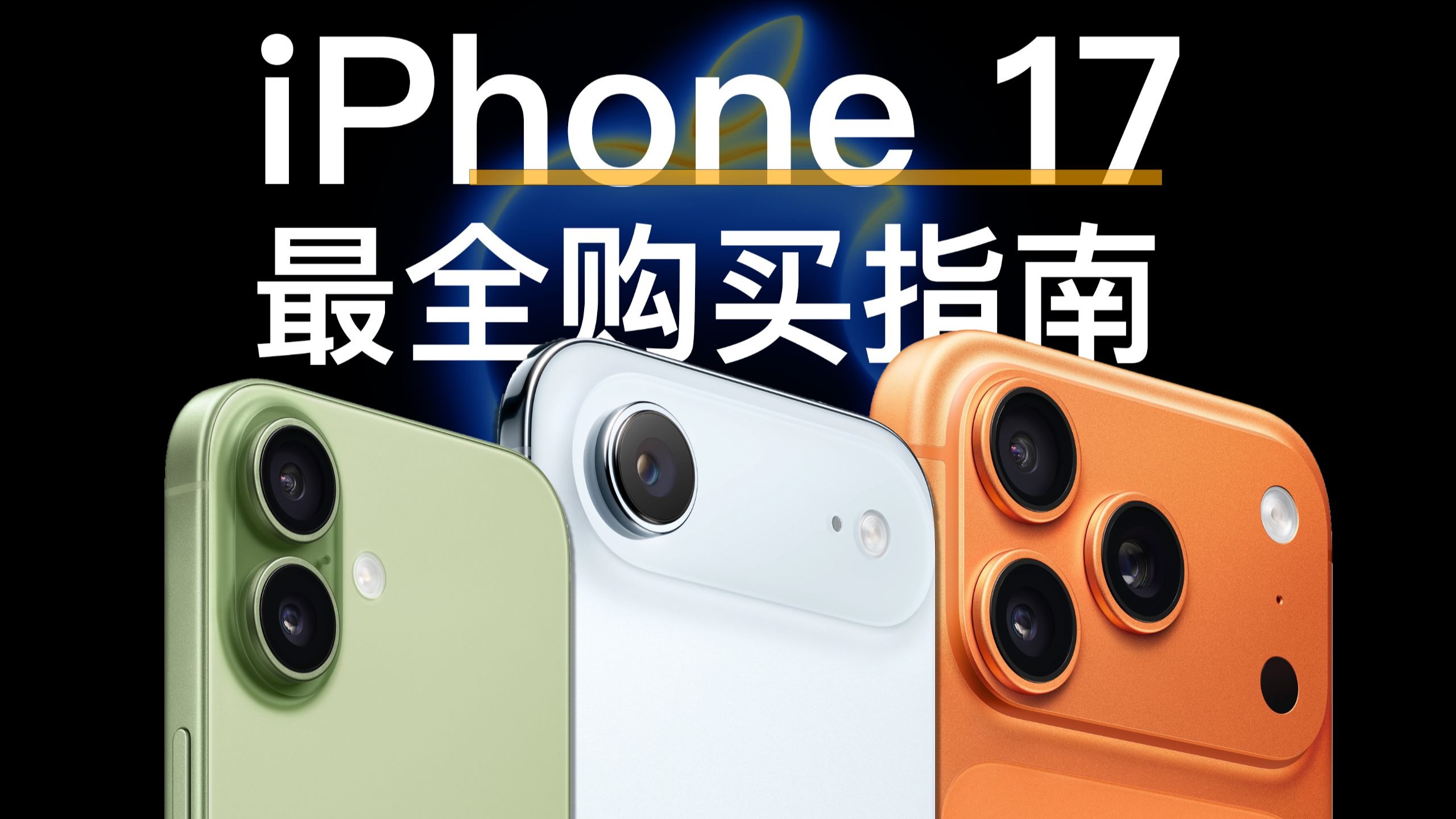 懒狗小黑