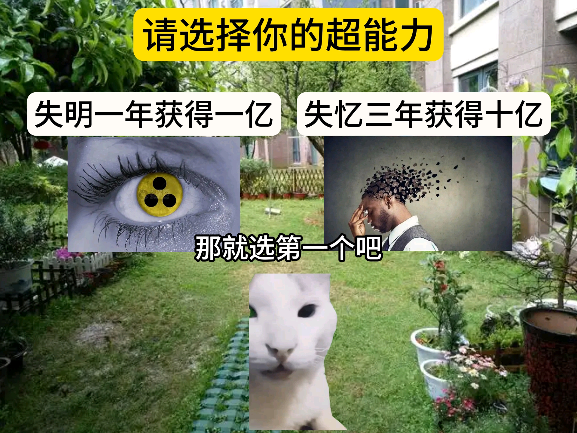 请选择你的超能力