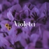 IZONE  -  Violeta 钢琴版