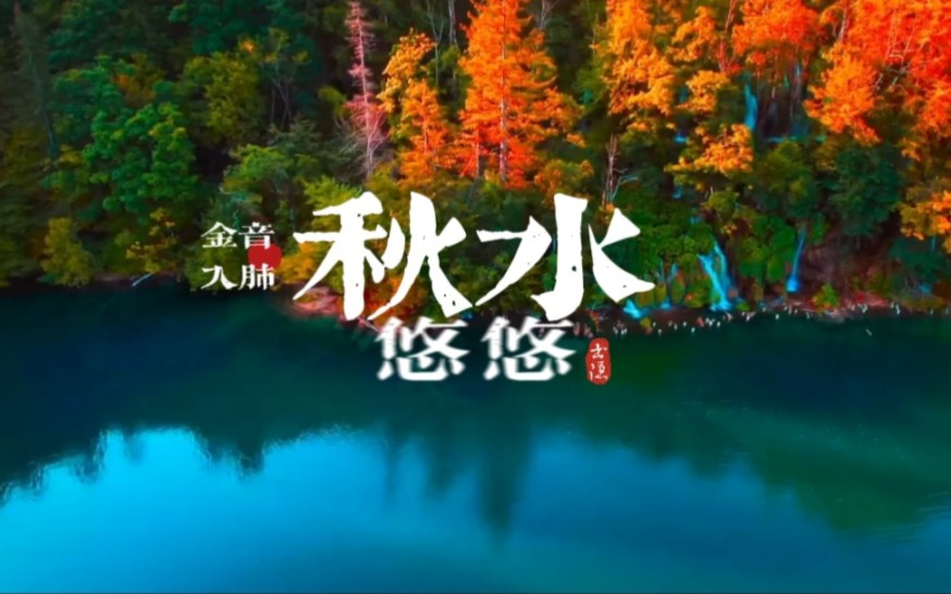 『五音疗疾』金音入肺，凝神净脑，调畅气机，养元贮能，提高免疫，预防成为“小羊人”可以多听用《秋水悠悠》