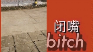 03ceeb99de64b6907c4bfe97c4faef9c1d8a5d4b.jpg@310w_174h_1c_100q.jpg
