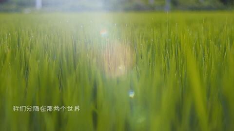 03d855e45c97053b573ceee5d56fcc573f077b7d.jpg@480w_270h_1c