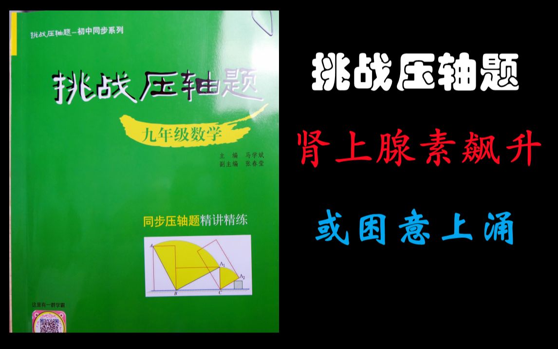初中教辅测评 挑战数学压轴题