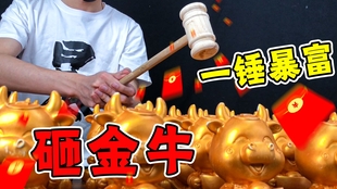 03dc8ec65d79edeec7c4182adde1cb8ff0ecaa2c.jpg@310w_174h_1c_100q.jpg