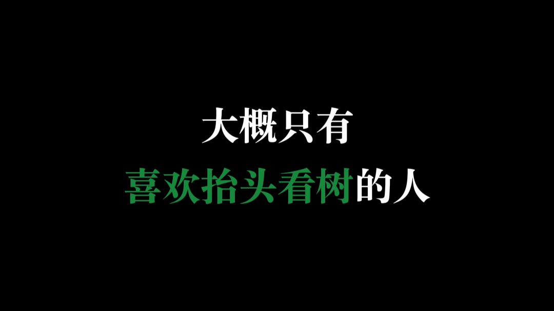 大概只有喜欢抬头看树的人才会被推送到吧