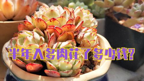 040abba16f50b601bf540d245a8283bf46f2264a.jpg@480w_270h_1c