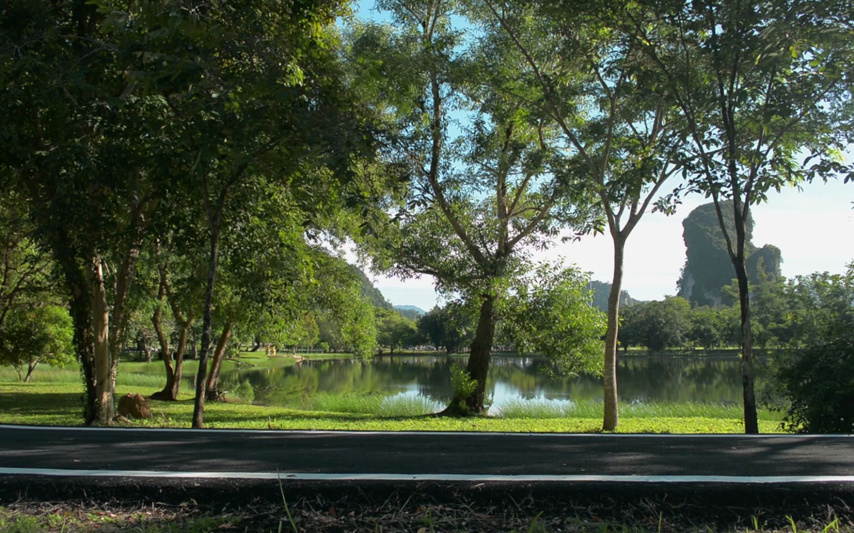 空镜头视频素材 夏季公园男子慢跑 素材分享