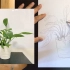 小学四年级美术《植物写生》