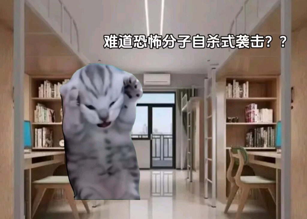 【猫meme】关于清明节前夕我学校炸了这件事