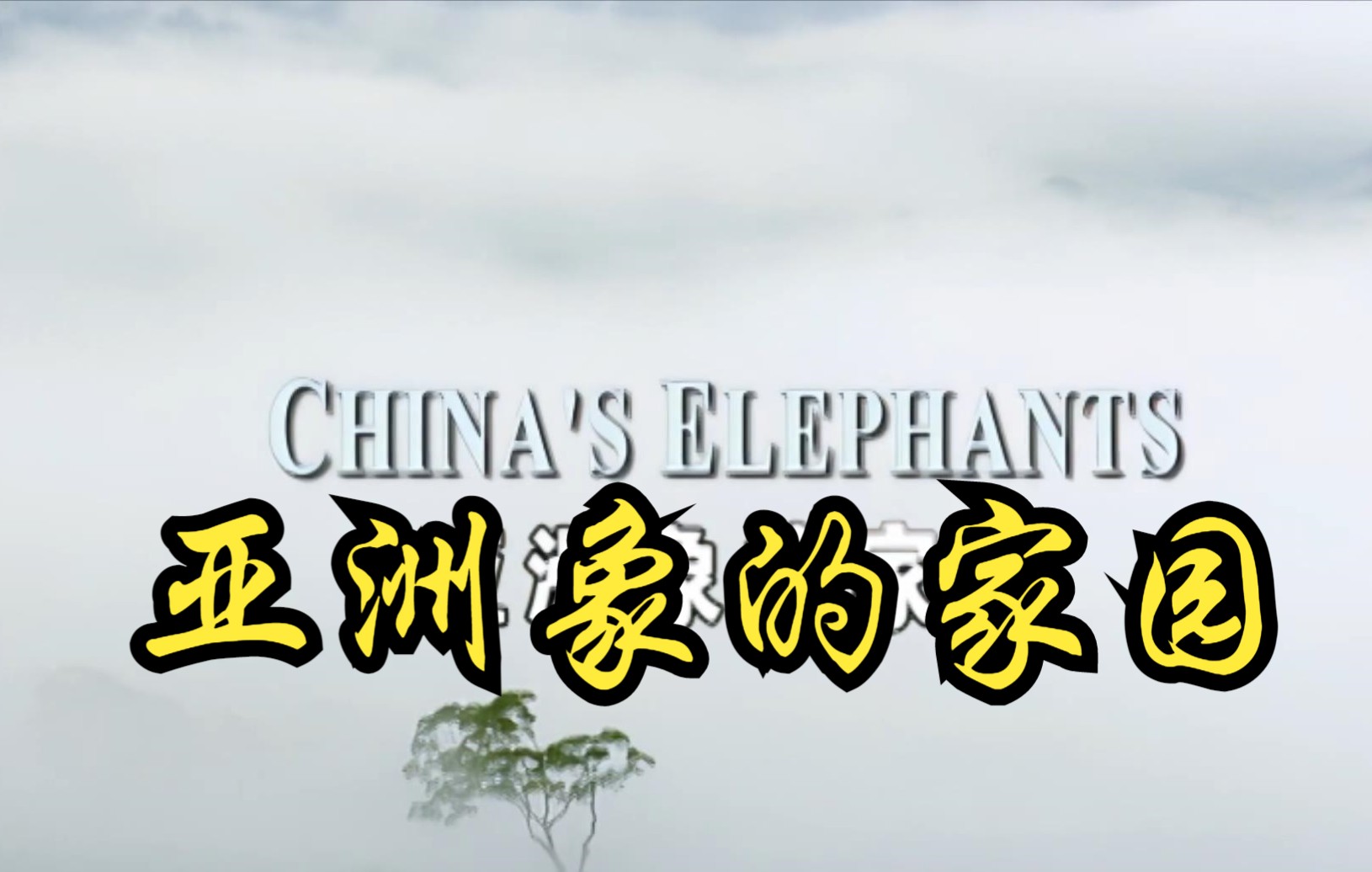 【英国】【纪录片】亚洲象的家园  Home of Asian elephants