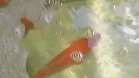 0468aff0d6d41b730411a833f51b8fc8aa4c20b5.jpg@480w_270h_1c