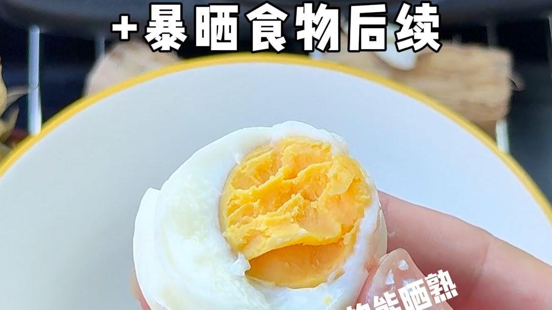 汽车高温暴晒保温杯冰块+晒食物后续，没想到鸡蛋竟然真的能被晒熟！！