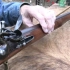 英国褐贝斯燧发卡宾枪