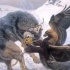 珍贵影像记录猎人驯养金雕捕杀狼
