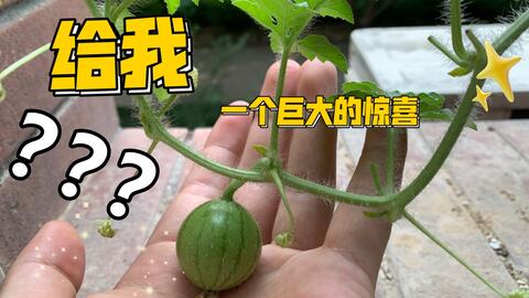 049245fb3e2ae5feb8c71c84cbab37f7845f9de2.jpg@480w_270h_1c
