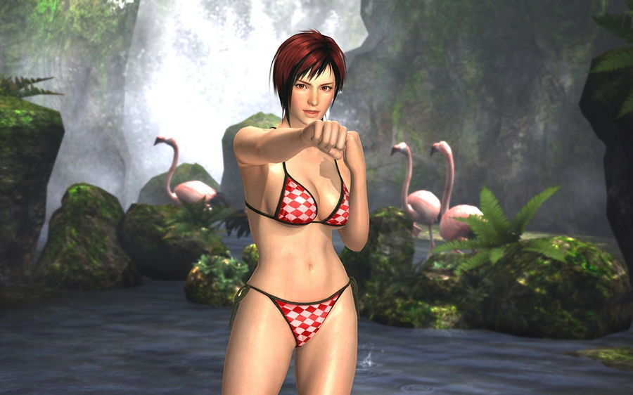 逆ryona doa5 米拉 抖m
