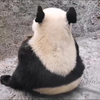 25.05.01  喀秋莎向伊戈尔叔叔倾述没有妈妈在的生活很无聊！| 如意在窗外唱歌想和丁丁女王约会