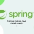 初级程序员慎入！2021年最新版Spring全家桶源码级教程讲解全集
