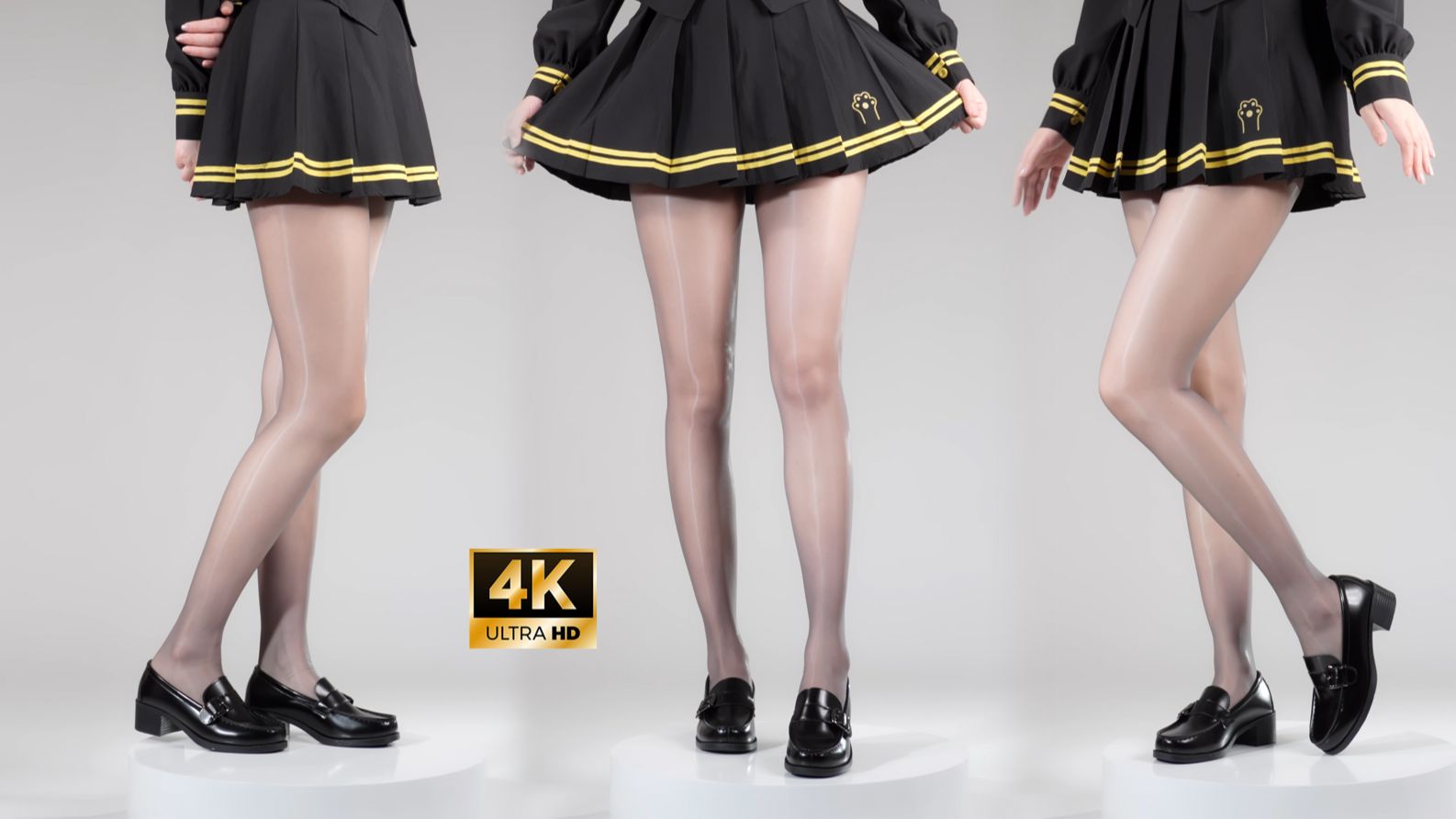 SK灰色北极光和黑色伯爵猫