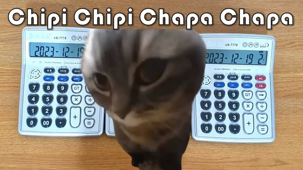 用3台计算器演奏  Chipi Chipi Chapa Chapa Meme