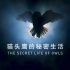 （1080P+）《猫头鹰的秘密生活》【全1集】