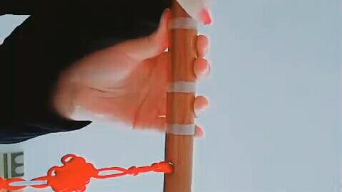 笛子唱曲谱_笛子曲谱(5)