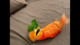 04e2bb8ecd642ac4da199b52d87b759af08458f5.jpg@280w_158h_1c_100q.jpg