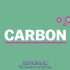 环境中的碳循环是怎么回事？