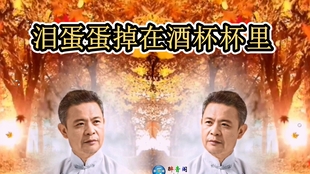 04f7a0304a514ab8a563027cf2ece55b8b6db921.jpg@310w_174h_1c_100q.jpg