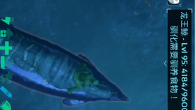 龙王鲸长什么样 04f8237fbecfbb6f5d0fb1ddf9d0c66fbad37ce0.jpg@280w_158h_1c_100q.jpg