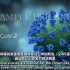 | 新冠病毒是如何感染机体的？| Nucleus | How COVID-19 Affects the Body |
