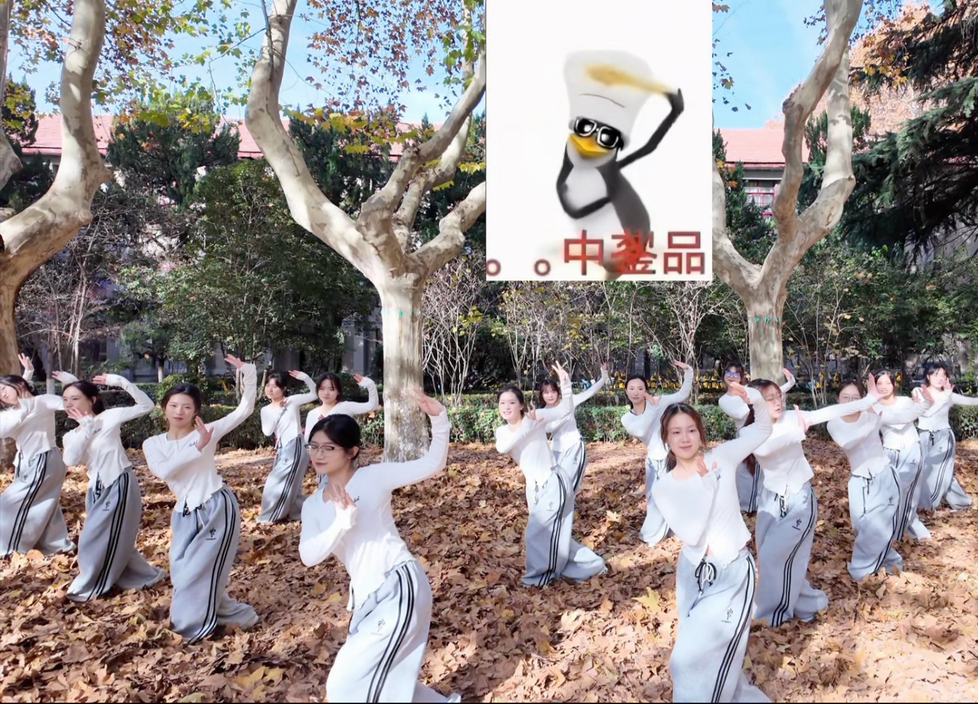 西安交通大学体操协会企鹅舞🐧梧桐道上梧桐叶，梧桐叶上企鹅舞🐧