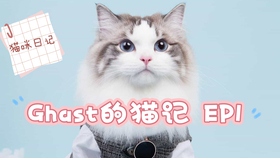 051f1c6f54bc4023df0faea707de60c9299b77d7.png@280w_158h_1c_100q.jpg