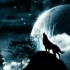 狼为什么要对月亮叫？