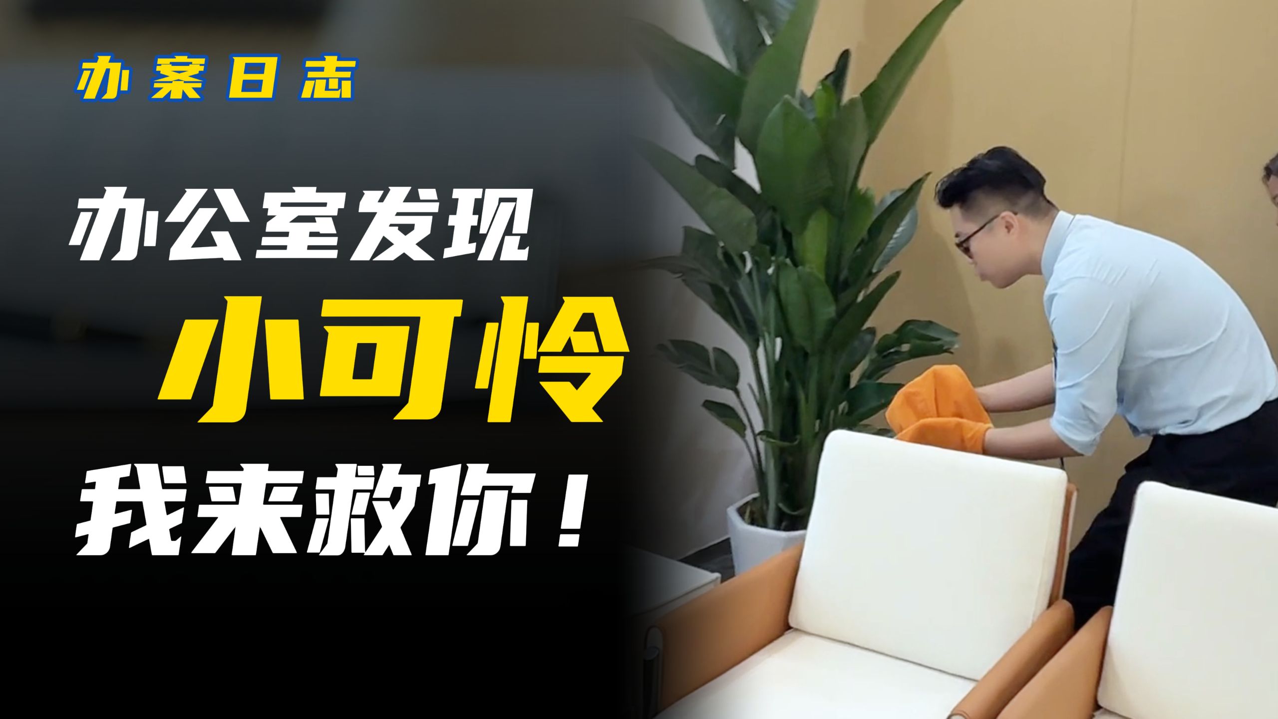 是什么小可怜在律所关了一天？